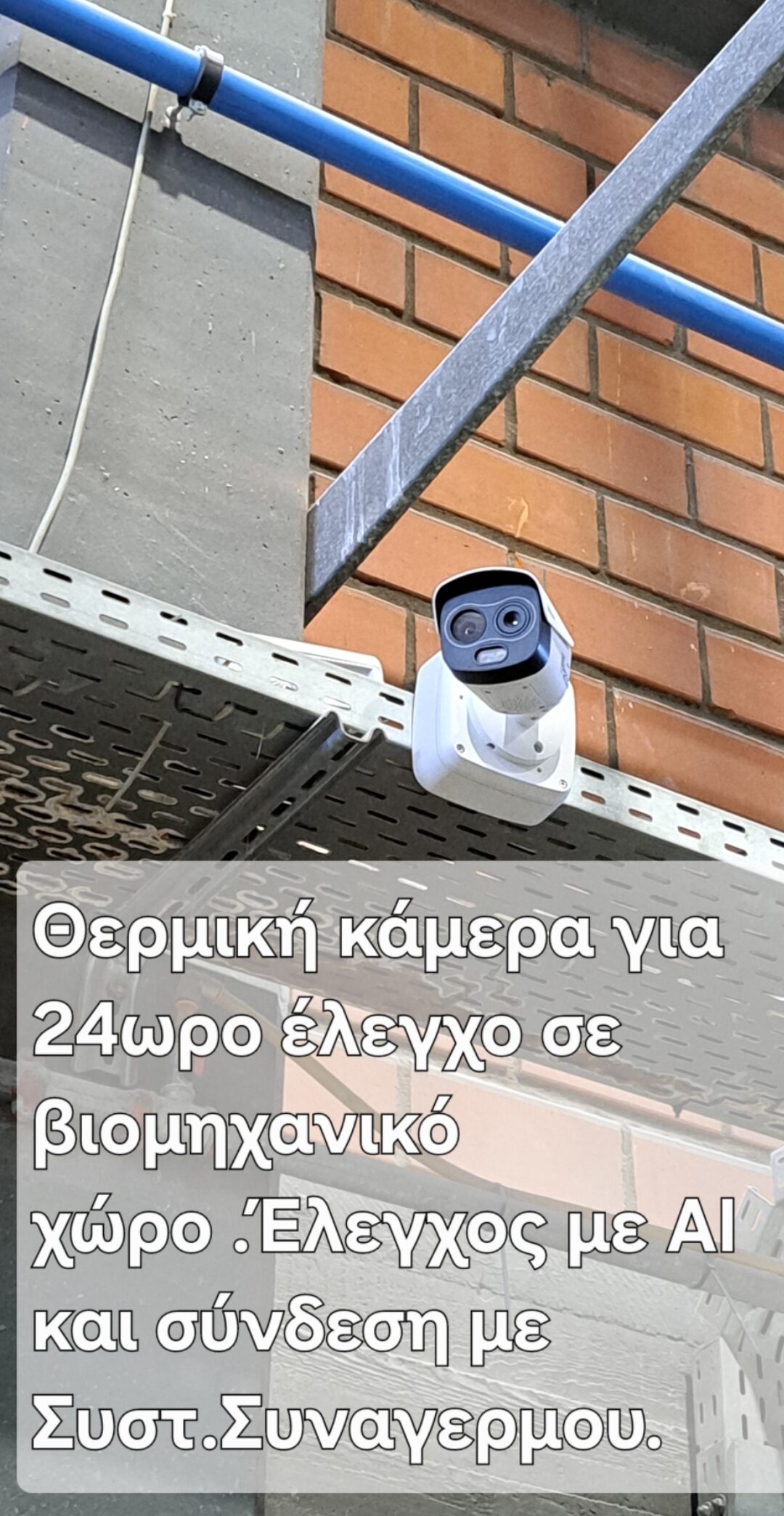 1000011408
